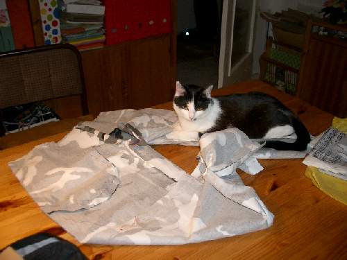 Tarnhose selbst gemacht