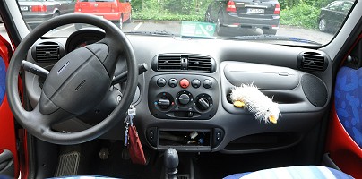 Mein Fiat Seicento